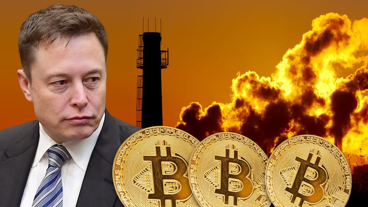 Bitcoin škodí přírodě, obrátil Musk. Najde ekologickou kryptoměnu?